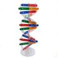 thumbnail image 1 of Bangcool DNA Model Educational Double Spiral Model Teaching Prop Science Teaching Tool, 1 of 10