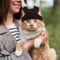 thumbnail image 4 of WHAMVOX Cat Pirate Costume Dog Hat Plush Material Cosplay Costume for  1Set, 4 of 8