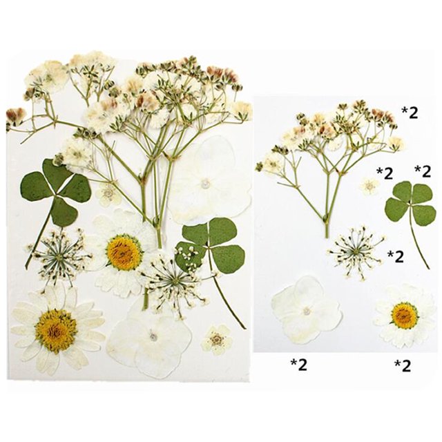 Natural Real Dried Flower Plants For Candle Epoxy Resin Jewelry Making Craft DIY