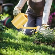 Watering Can for Indoor Plants, Flower Watering Can, Plastic Water Can for Plants, Garden Sprinkler Gardening Watering Can Long Spout Pot Watering Gods 1.5L