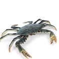 thumbnail image 3 of Xingzhi Marine Toy Model For Durable Educational Animal Model Shark Animal Toys Type 1, 3 of 6