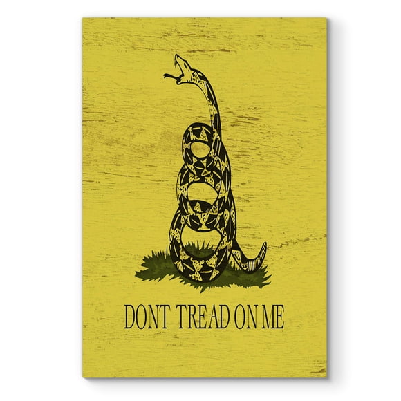 Renditions Gallery Art1 Wall Décor Canvas, Patriotic American, Veteran, Navy, Airforce, Gadsden Flag, Don't Tread on Me, 36X48