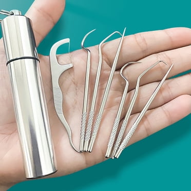 1 Ensemble de Cure-Dents Écologique Antirouille en Acier Inoxydable avec Boîte de Rangement pour la Maison