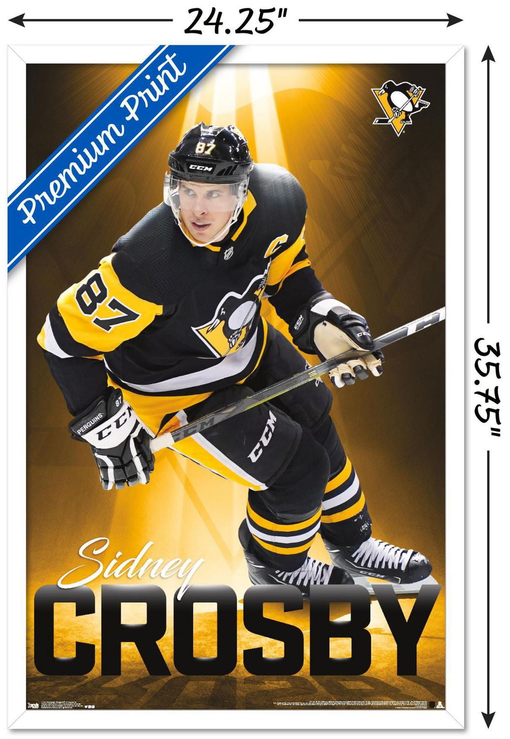 NHL Penguins de Pittsburgh