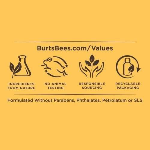 Baume hydratant pour les lèvres d’origine naturelle à 100 % la pastèque de Burt’s Bees®,