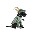 thumbnail image 3 of Costume d'Animal de Compagnie Variante Alligator Loki, 3 of 3