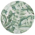 thumbnail image 4 of SAFAVIEH Barbados Igor Tapis Botanique Intérieur/Extérieur, 4 of 9