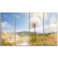 thumbnail image 2 of Blooming Dandelion under Bright Sky - Floral Canvas Art Print, 2 of 3