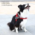 thumbnail image 4 of Adjustable Pet Dog No Pull Harnesses Collar Reflective Pet Vest Dog Supplies, 4 of 8