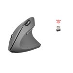 HXSJ Ergonomic Design Vertical Wireless Mouse