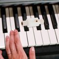 thumbnail image 3 of Shisuyan Boucles de Réglage de Piano en Plastique 1Ensemble 1.8x0.6x0.4In, 3 of 9