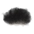 thumbnail image 3 of Fake Pubic Hair, Soft Breathable Fake Private Hair  For Home For Men Women Short,Long, 3 of 8