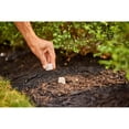 thumbnail image 5 of Miracle-Gro® Pointes pour Nourriture de Plantes d'Arbres et d'Arbustes 15-5-10, 5 of 5