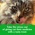thumbnail image 2 of Greenies Pill Pockets - Chicken - 45g, 2 of 13