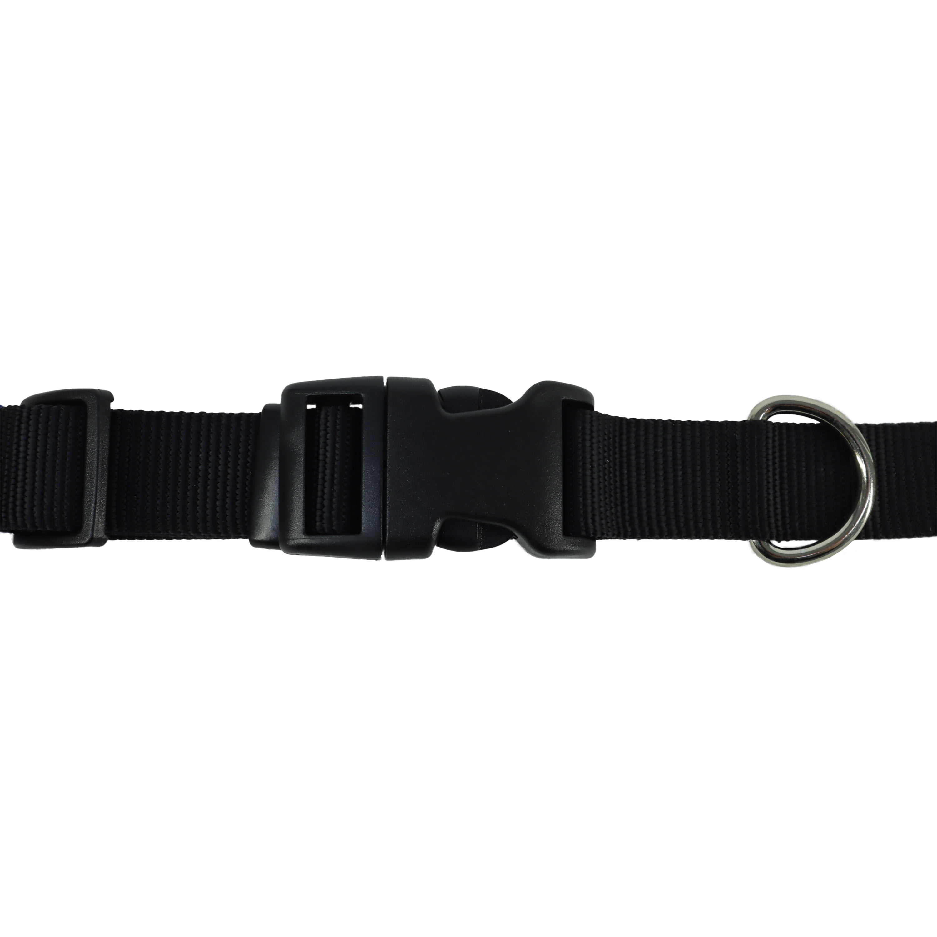 Pet Attire by Coastal Small 8-12" Black Adjustable Buckle Dog Collar
