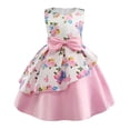 thumbnail image 1 of Robes pour Adolescents Sans Manches Robe de Concours Fête d'Anniversaire Imprimés Floraux Nœud Papillon Robe Princesse Tout-Petit Rose 2-3 Ans, 1 of 3