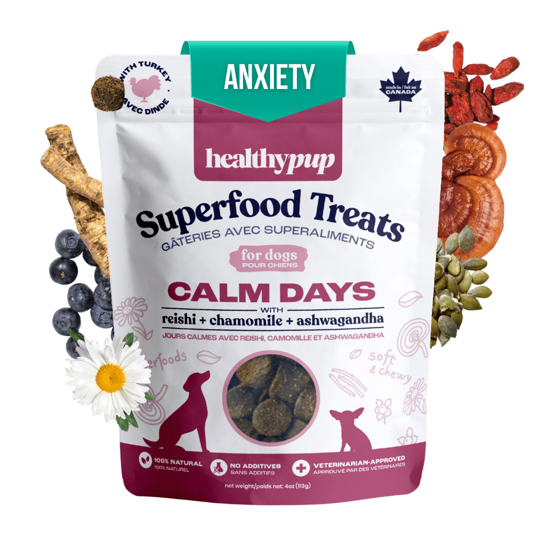 The Healthypup Co – Calm Days – Soft Functional Dog Treats with Reishi, Ashwagandha & Chamomile, 4-oz bag