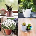 thumbnail image 1 of EGNMCR Tools&Home Improvement Transparent Plastic Tray Suitable For Indoor And Outdoor Pot Trays Pot Trays 5pc a tray, 1 of 4