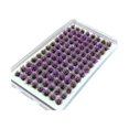 thumbnail image 2 of jifeng Artificial DIY Miniature Flower Cluster Grass Tufts Diorama Layout Scenery Model Amaranth, 2 of 9