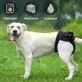 thumbnail image 4 of Washable Dog Diapers | Reusable Dog Diapers | Washable Female Dog Diapers | Cloth Dog Diapers for Dogs in Heat, or Dog Incontinence Diapers, gray, XXL, 4 of 6
