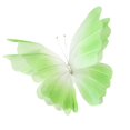 thumbnail image 2 of KLKCMS Artificial Gauze Butterfly with Standing Base Crafts Fake Wedding Decoration Green, 2 of 9