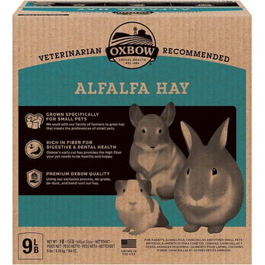 OxBow Foin de Luzerne pour Petits Animaux, 144oz / 9lb
