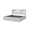 thumbnail image 1 of ACME Louis Philippe III - Queen Bed w/Storage in Platinum, 1 of 3