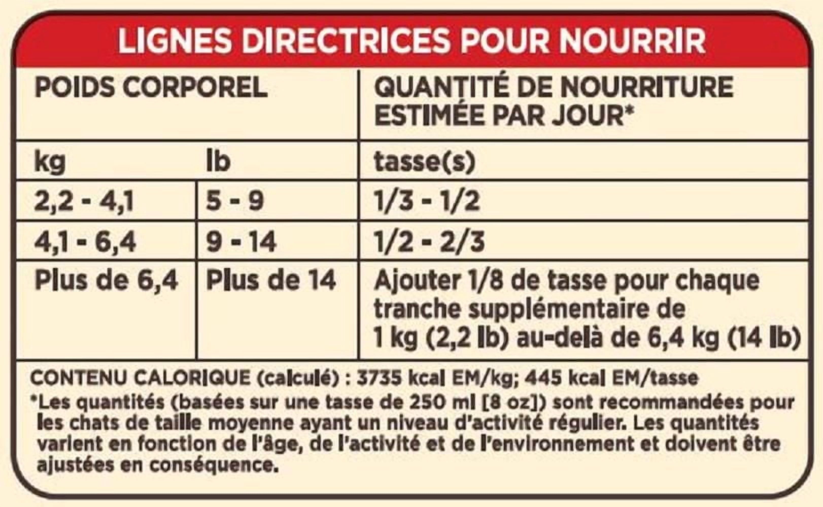 Nourriture sèche Special Kitty pour chats avec formule à sept saveurs