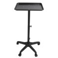 thumbnail image 1 of Salon Tray Cart,  Salon Service Rolling Tray Flexible Universal Wheel Compact  For Beauty For Hairdressing, 1 of 8