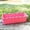 Pink, variant on Rectangular Window Sill Planter with Integrated Tray for Indoor and Outdoor Gardening Vegetables Flowers
