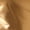 Brown Gold, variant on INSPIRE CHIC Metallic Crop Tops for Women's Keyhole Short Sleeve Halloween Party Shiny Holographic Top S Gold