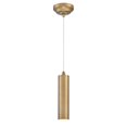 thumbnail image 1 of Westinghouse Lighting Rayman One-Light Dimmable LED Indoor Mini Pendant - Brushed Brass, 1 of 6