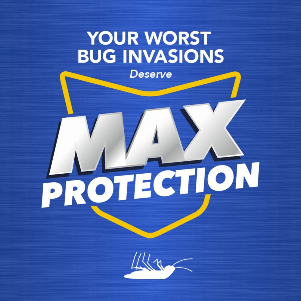 Insecticide Raid Max contre les insectes volants, 500 g