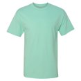thumbnail image 1 of Hanes - Beefy-T T-Shirt, 1 of 1
