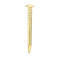 thumbnail image 2 of Nail,100Pcs Round Head Nail Round Head Nail Hardware Accessories Best in its Class, 2 of 10