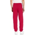 thumbnail image 2 of Hanes P650 Comfort Blend Ecosmart Mens Sweatpants, Deep Red - Medium, 2 of 2