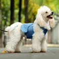 thumbnail image 3 of Adjustable Nylon Dog Harness Breathable Dog Harness For Small Medium Large Dog Rope Walking, 3 of 5