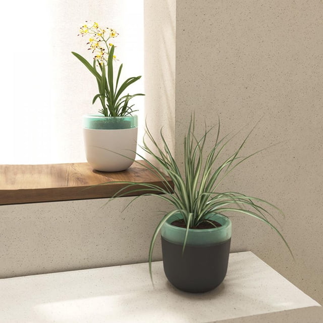 Garden Self Watering Plant Pot in black, featuring a modern cone-shaped design with a glossy finish. This time-saving pot includes drainage holes and a detachable saucer, ideal for African violets, orchids, or other flowers. Lightweight and durable WPC material ensures longevity and ease of use. Displayed indoors with plants on a wooden windowsill and a white countertop.