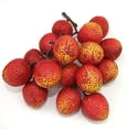 thumbnail image 1 of Artificial Fruit, Lifelike Decorative Fruits, Artificial Blueberries Simulation Lychee Longan Fake Grapes for Home Kitchen Wedding Office Party Decor, Photography Props, 1 of 7