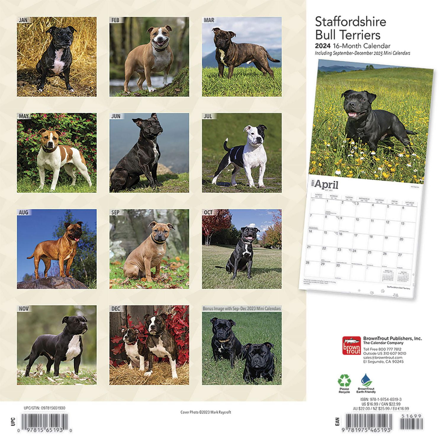BrownTrout Chien d'arrêt de l'armée de l'air 2024 Mur Carré 30.48x60.96 CM, 9781975465193