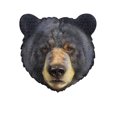 thumbnail image 1 of Madd Capp: I AM Bear - 300 piece shaped jigsaw puzzle, 1 of 2