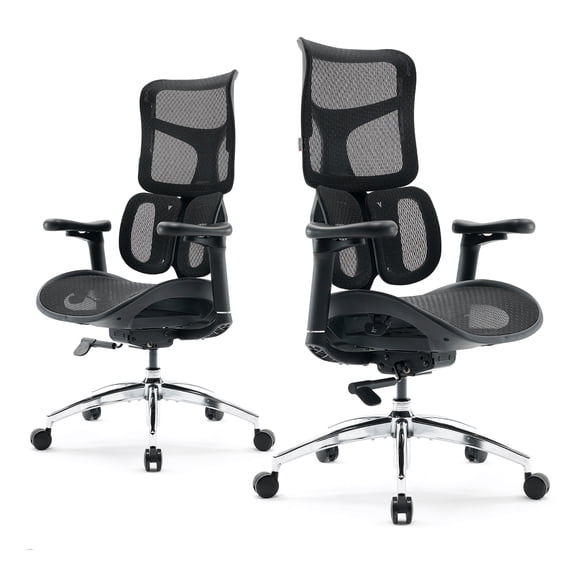 SIHOO S100 Chaise de Bureau Ergonomique à Roulettes - Soutien Lombaire Dynamique Double, Chaise de Bureau Réglable avec Accoudoirs 4D Coordonnés pour Bureau à Domicile Noir