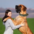 thumbnail image 1 of ERK Christmas Decorations Reflective Nylon Collar With Heavy Duty Buckle Adjustable Neckband For Small Medium Large Comfortable Training Walking, 1 of 6