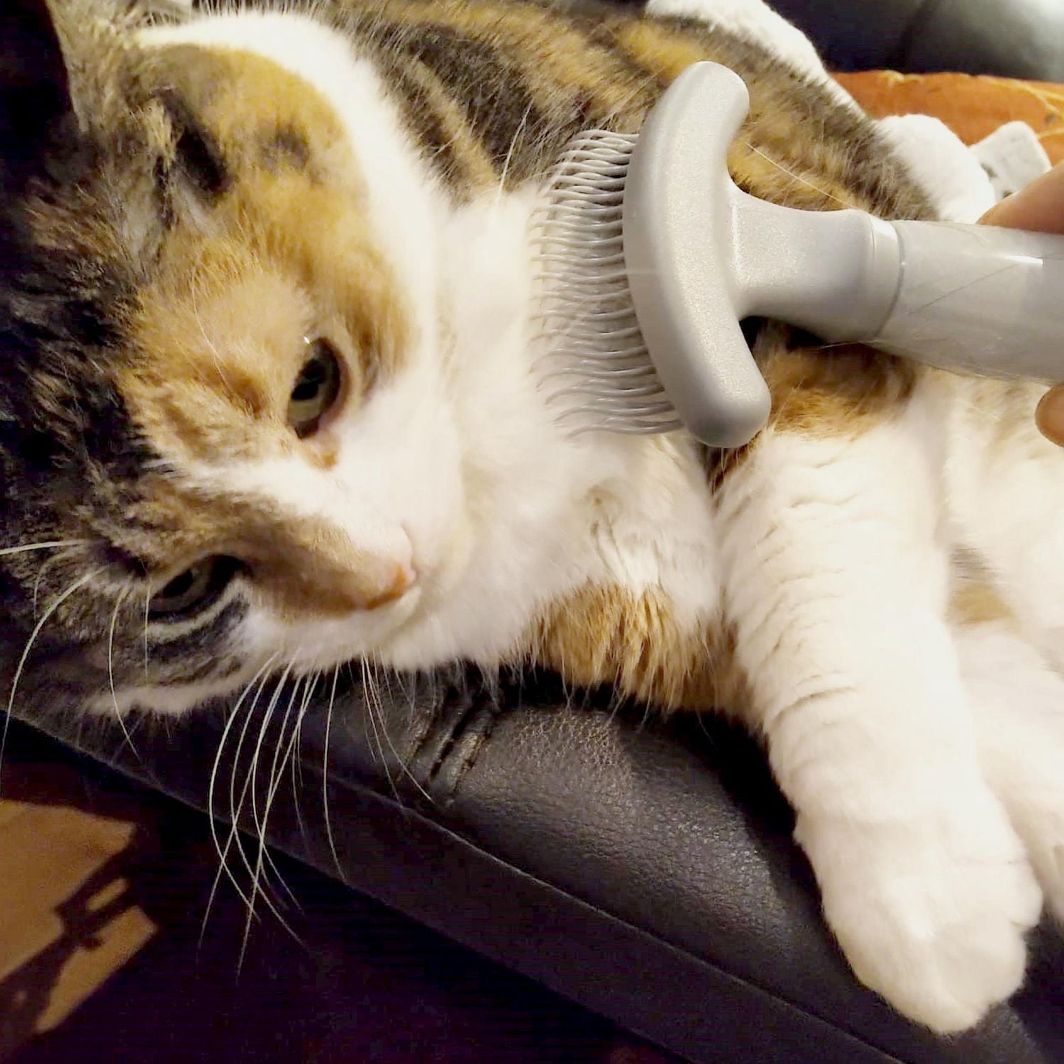 Râteau extrême pour éliminer les poils lâches pour chats - Modèle 58527