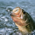 thumbnail image 3 of Ftwytp High-Density PVC Slow-Sinking Dice Bait - DIY Fishing Lures for Bass, Catfish & Trout | 10-Pack Reusable Tackle for Rivers, Lakes, Saltwater, 3 of 5