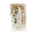 thumbnail image 1 of Dvkptbk Craft Material Dried Flowers Material Kit Diy Everlasting Flowers Material Making Valentine's Day Gift Home Decor, 1 of 2