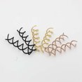 thumbnail image 2 of Épingles à Spirale Épingles à Vis Torsadées Pinces à Cheveux Épingles à Spirale, 2 of 8