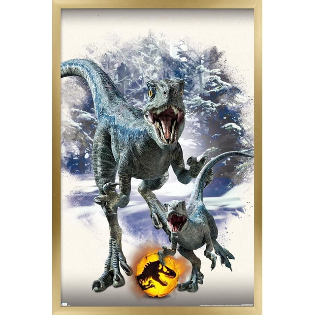Monde Jurassique : Dominion - Affiche Murale Focus Bleue et Bêta, 14,725 Po x 22,375 Po Encadrée Représentant Deux Vélociraptors Bleus à Bouche Ouverte et Dents Tranchantes dans un Fond de Forêt Enneigée, avec un logo Monde Jurassique orange Lumineux au Bas, Idéale pour la Décoration Murale de Chambre Ou de Bureau.