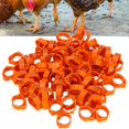 thumbnail image 3 of <p>Poultry Foot Clip, Poultry 100pcs Clip Poultry Foot , Chicken For Foot  Bird Buckle</p>, 3 of 7