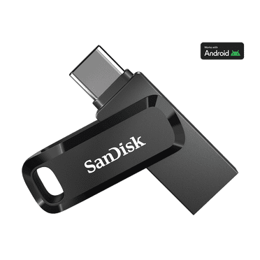 SanDisk Ultra Dual Drive Go - USB flash drive - 256 GB - USB 3.1 Gen 1 / USB-C - Black